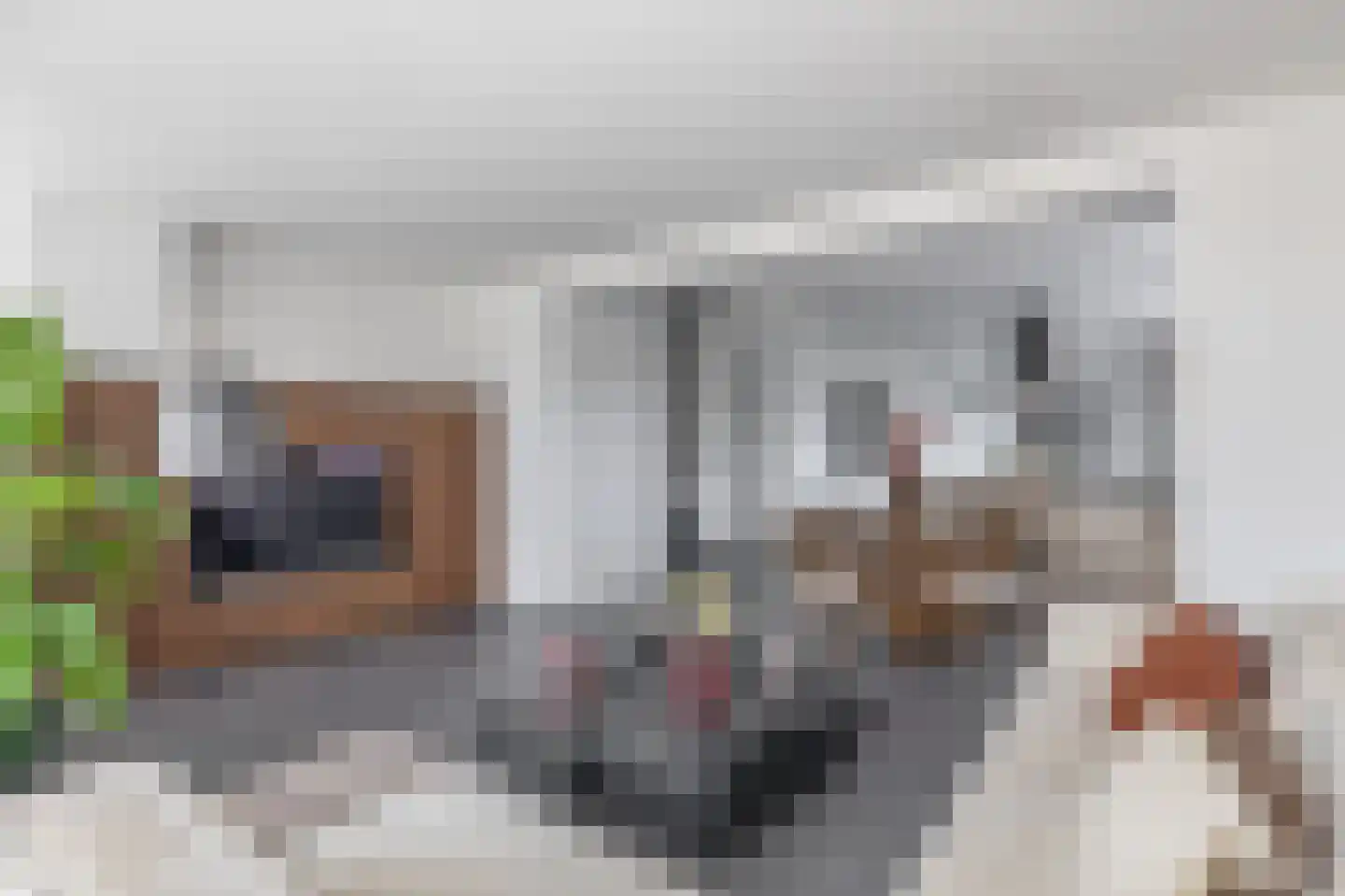 Bierens de Haanweg 103 Rotterdam thumbnail 7
