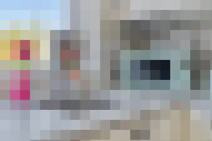 Bierens de Haanweg 125 Rotterdam thumbnail 16