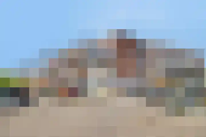 Bierens de Haanweg 125 Rotterdam thumbnail 31