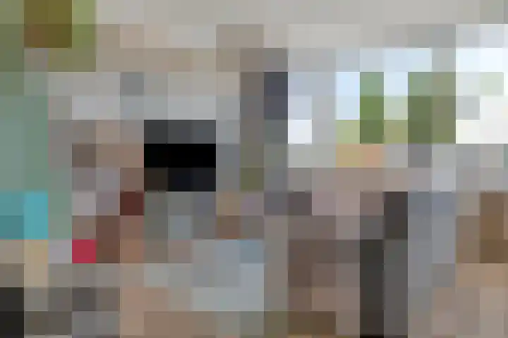 Bierens de Haanweg 125 Rotterdam thumbnail 4