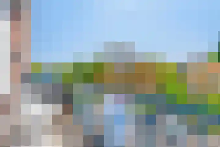 Bierens de Haanweg 125 Rotterdam thumbnail 9