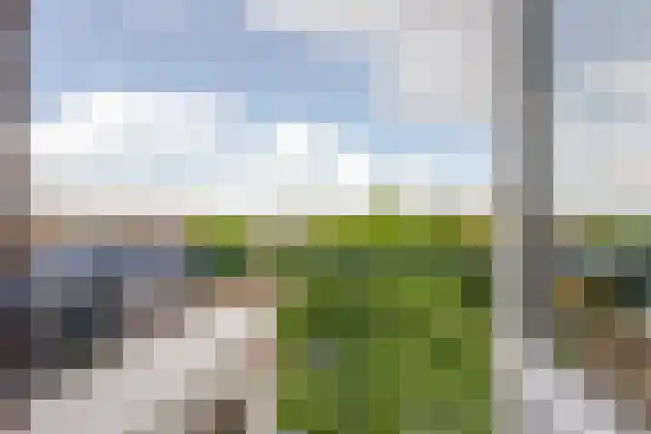 Bierens de Haanweg 129 Rotterdam thumbnail 31