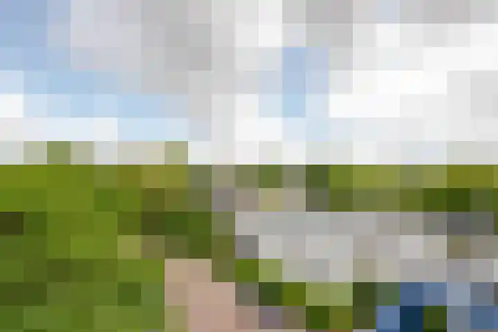 Bierens de Haanweg 129 Rotterdam thumbnail 32