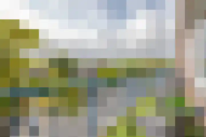 Bierens de Haanweg 129 Rotterdam thumbnail 4