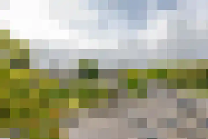 Bierens de Haanweg 129 Rotterdam thumbnail 5