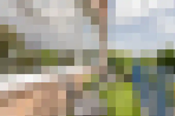 Bierens de Haanweg 129 Rotterdam thumbnail 7