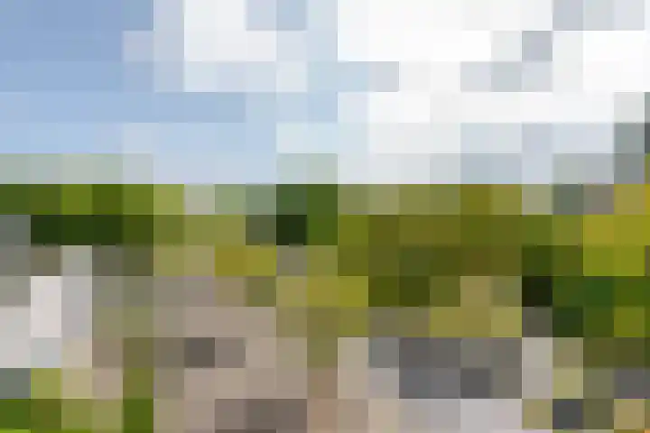 Bierens de Haanweg 129 Rotterdam thumbnail 8