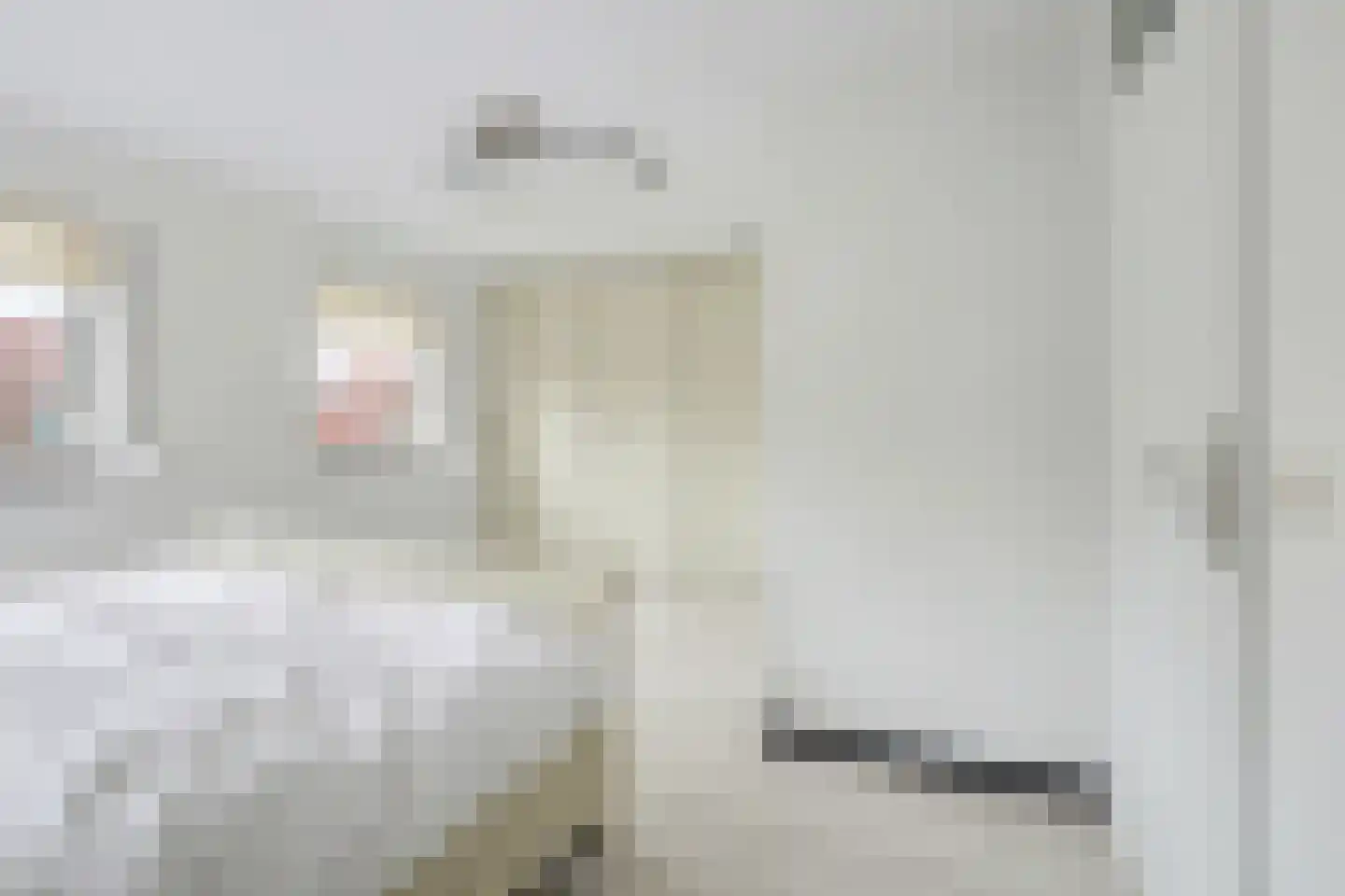 Bierensstraat 7 Sint-Annaland thumbnail 40