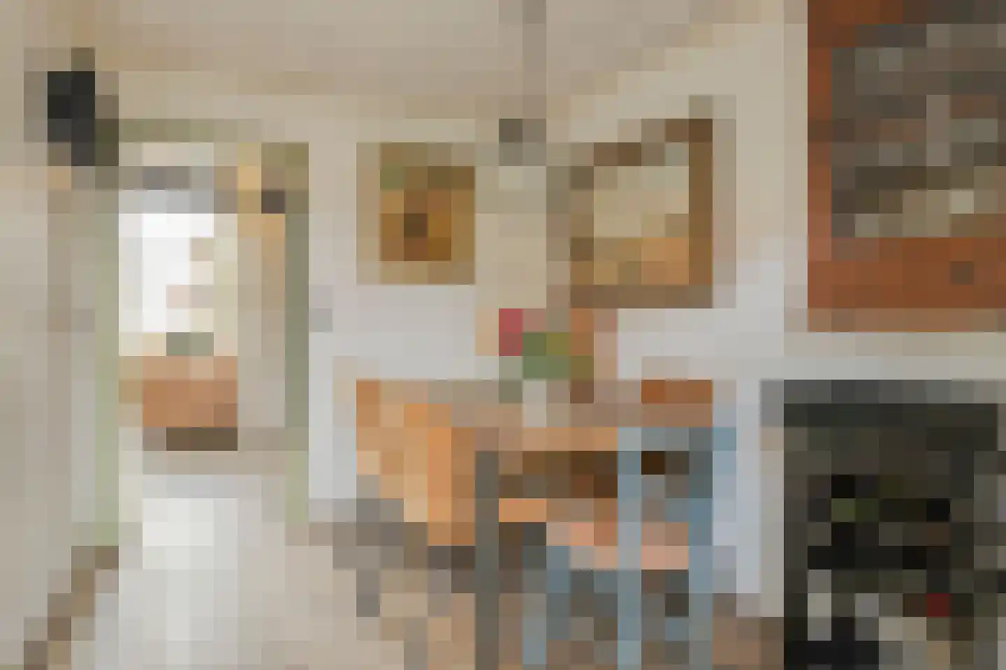 Bierkaai 7 Middelburg thumbnail 11