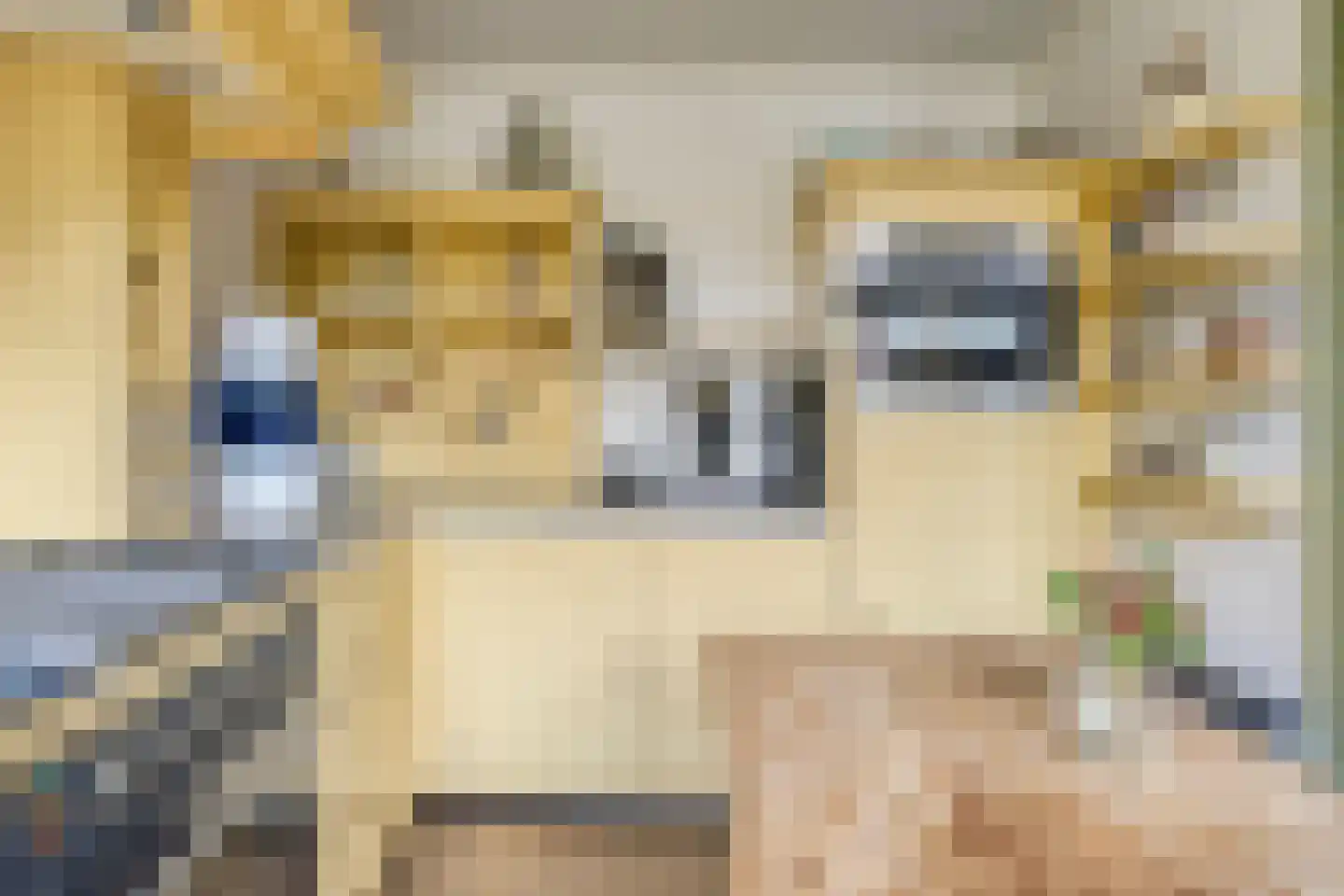 Bierkaai 7 Middelburg thumbnail 16