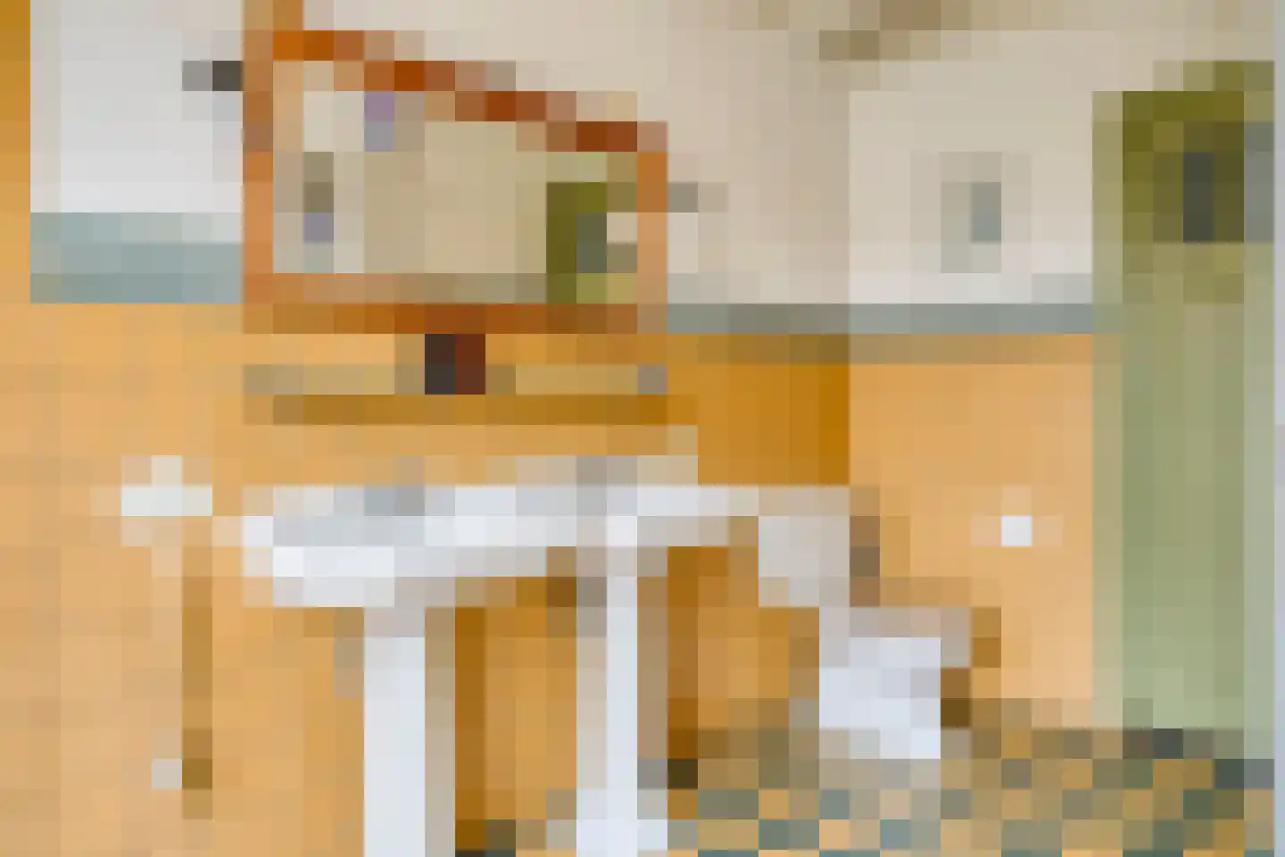 Bierkaai 7 Middelburg thumbnail 26