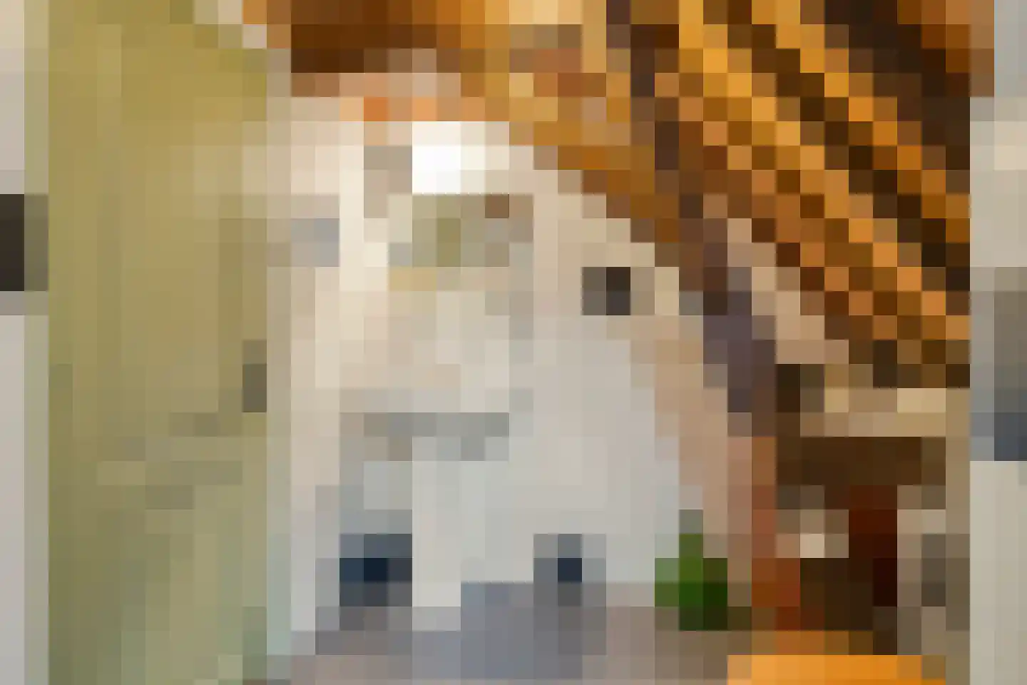 Bierkaai 7 Middelburg thumbnail 33