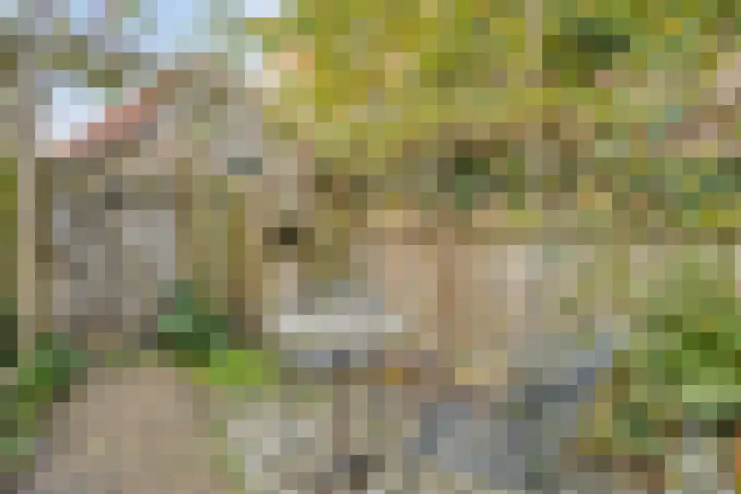 Bierkaai 7 Middelburg thumbnail 49