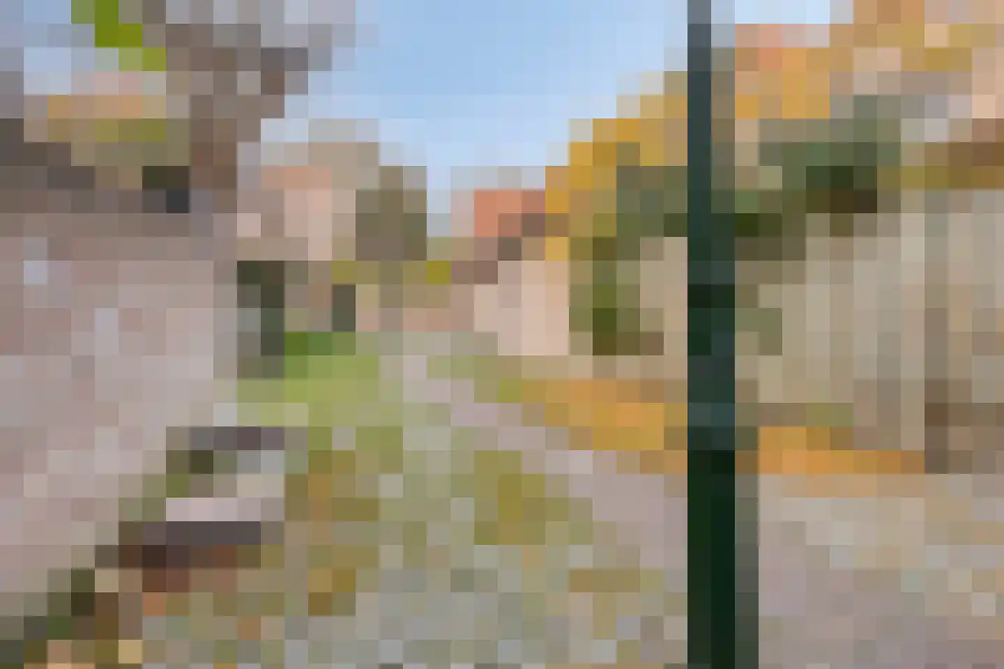 Bierkaai 7 Middelburg thumbnail 51
