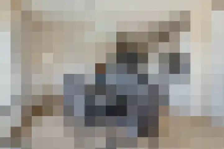 Bierkaaistraat 52 Hulst thumbnail 13
