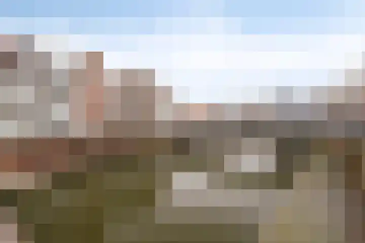 Bierkaaistraat 52 Hulst thumbnail 29