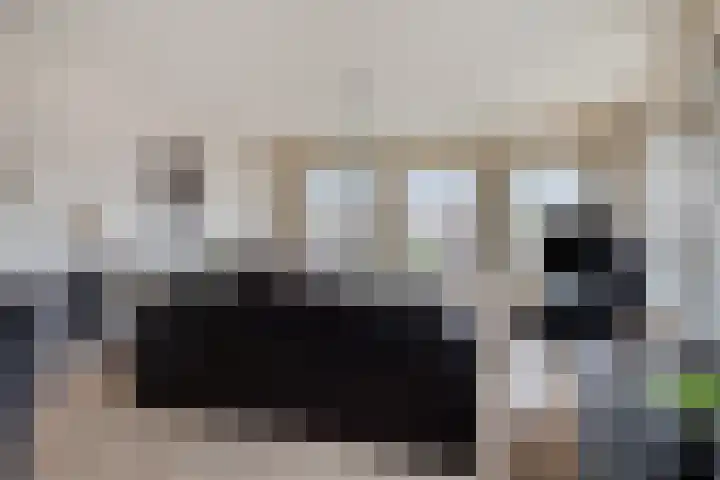 Bierkaaistraat 52 Hulst thumbnail 9