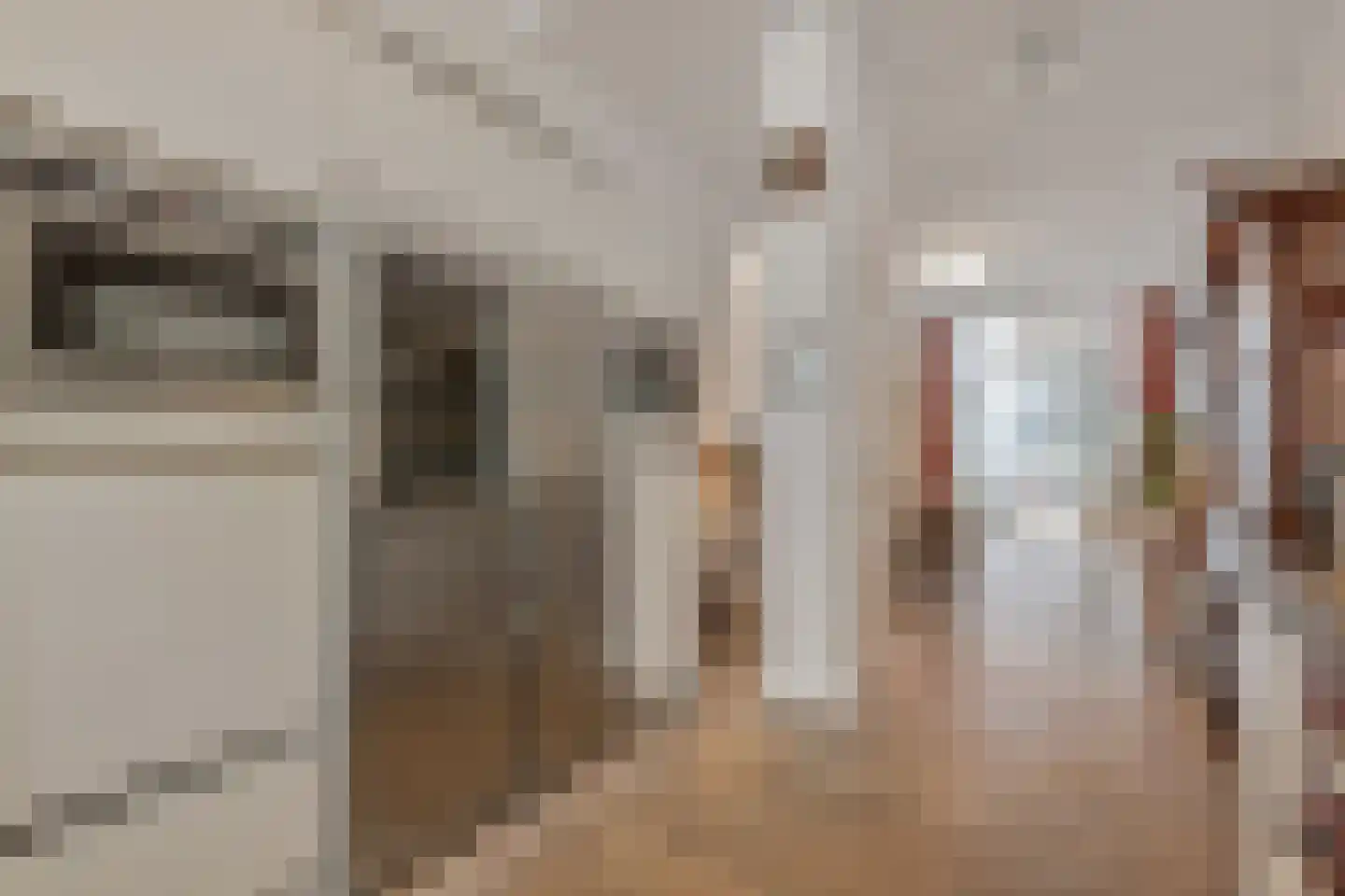 Bierkade 17 A Den Haag thumbnail 11