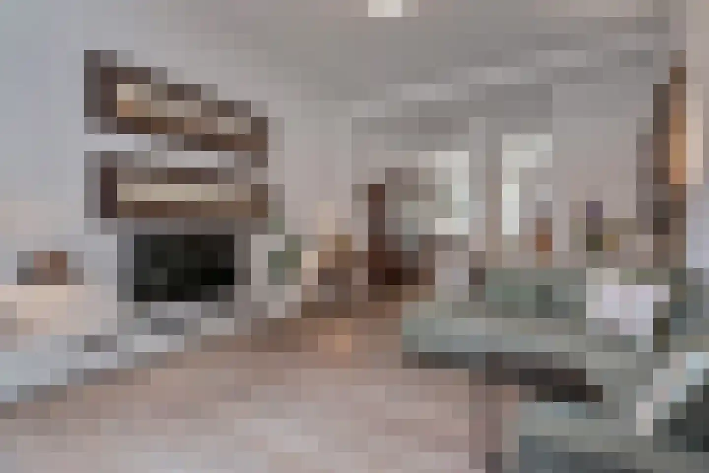 Bierkade 17 A Den Haag thumbnail 14