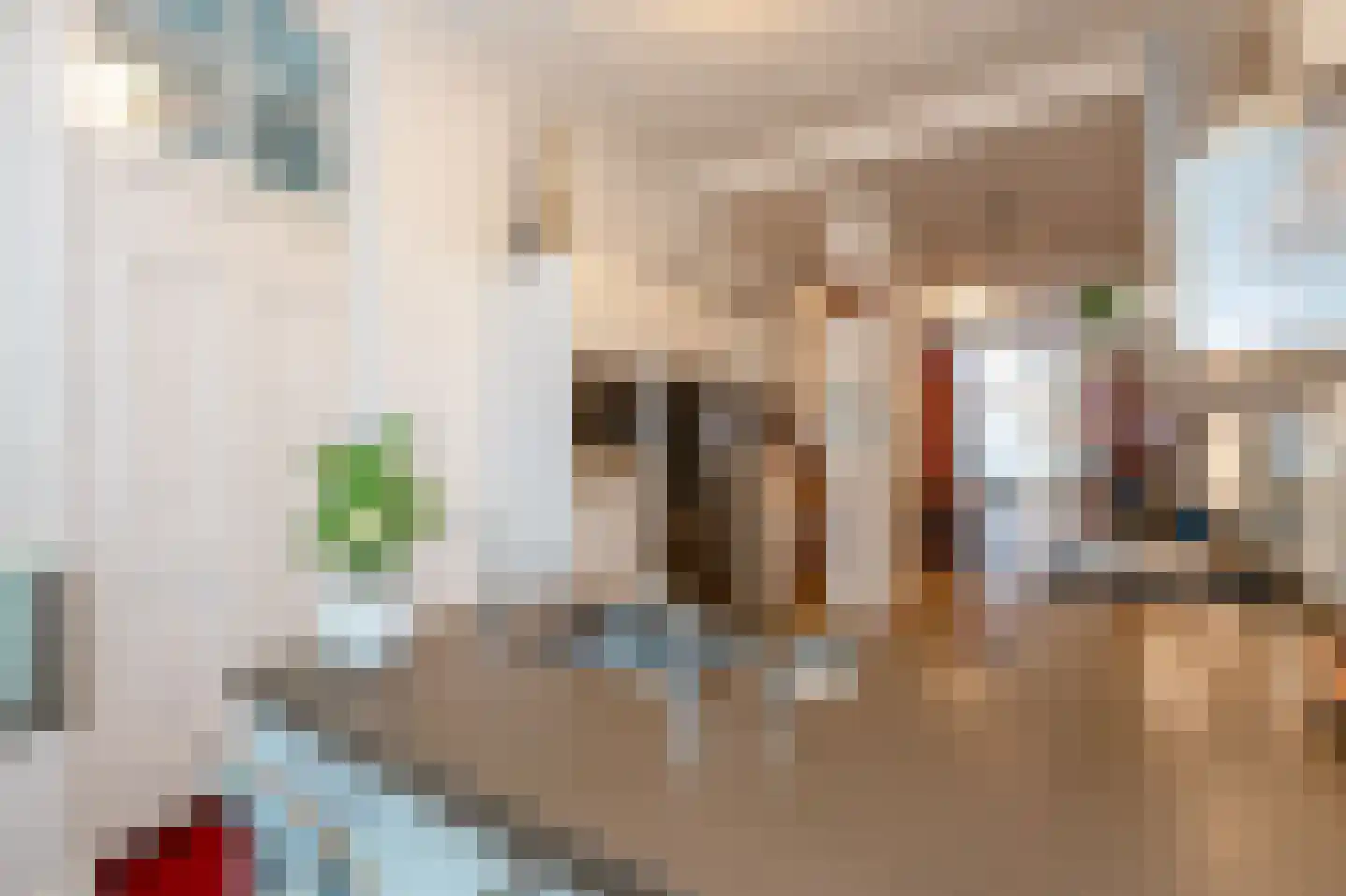 Bierkade 17 A Den Haag thumbnail 16
