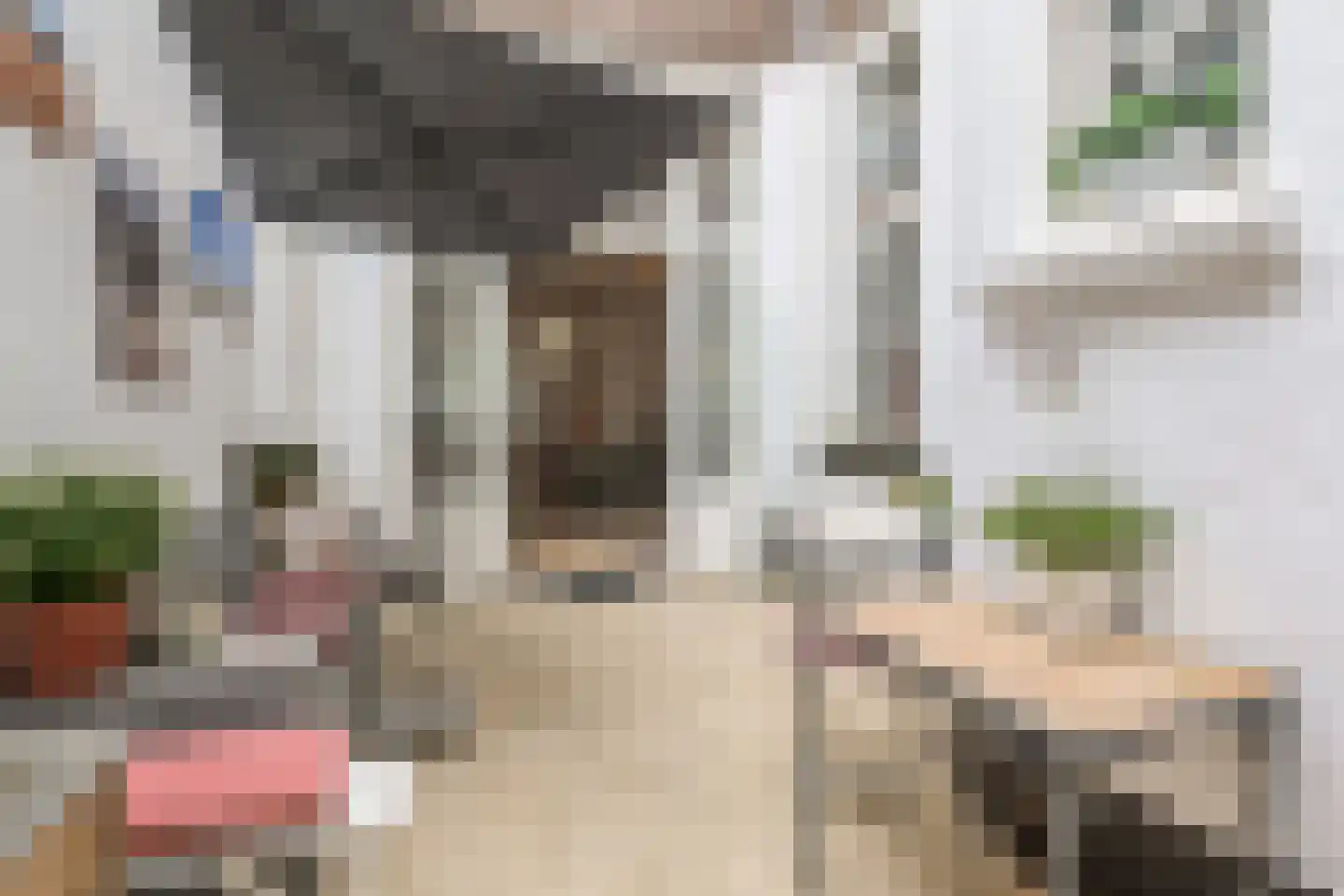 Bierkade 17 A Den Haag thumbnail 20