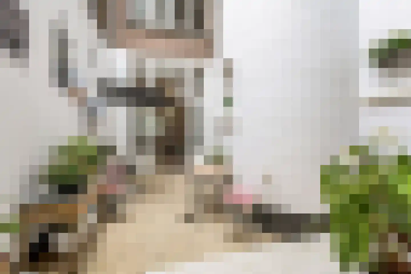 Bierkade 17 A Den Haag thumbnail 23