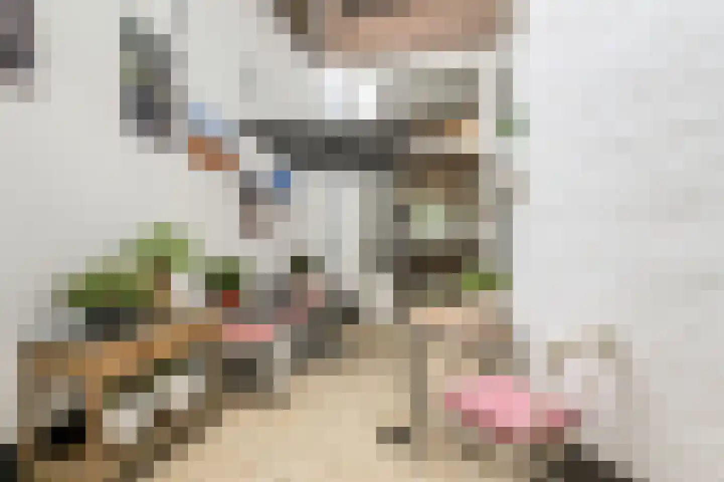 Bierkade 17 A Den Haag thumbnail 24