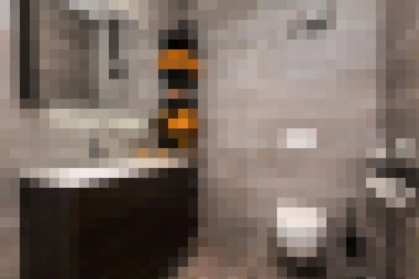 Bierkade 17 A Den Haag thumbnail 34