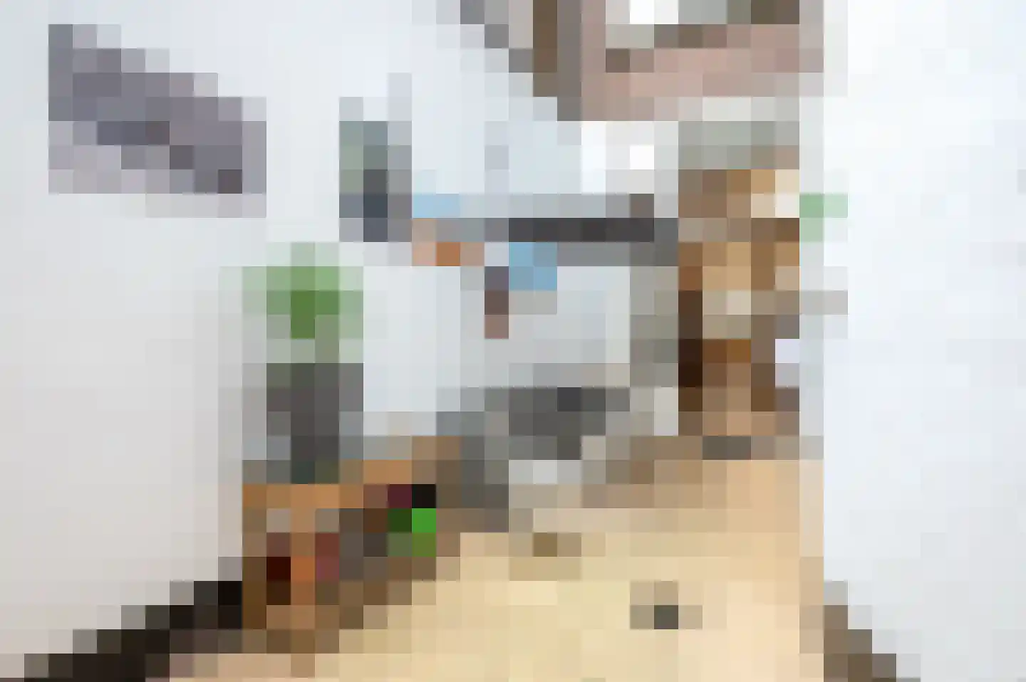 Bierkade 17 A Den Haag thumbnail 38