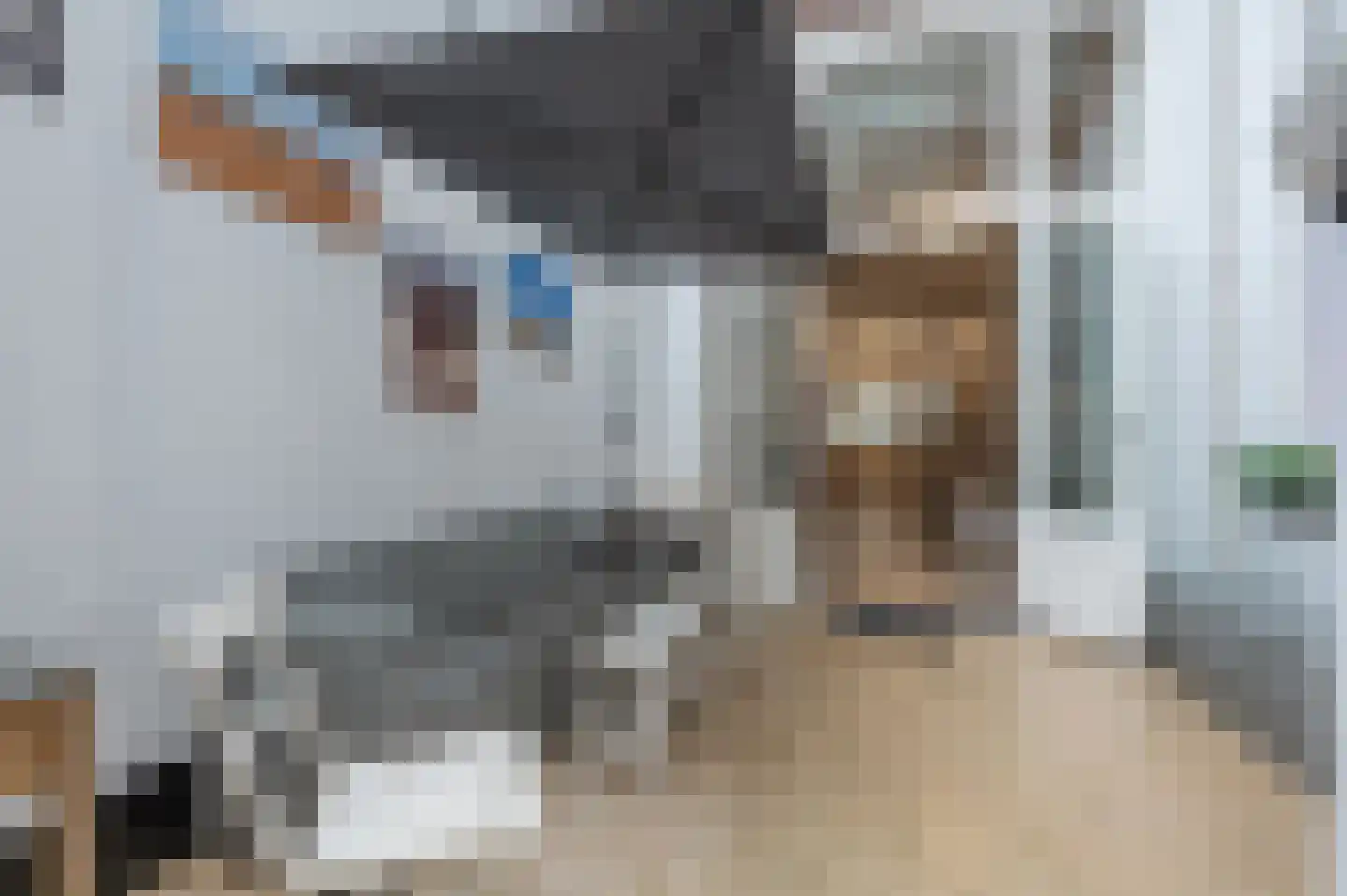 Bierkade 17 A Den Haag thumbnail 40