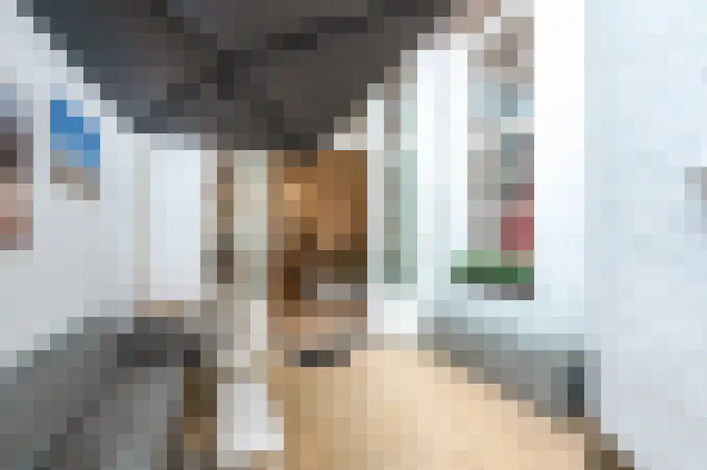 Bierkade 17 A Den Haag thumbnail 42