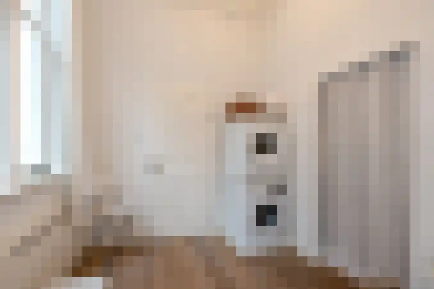 Bierkade 17 A Den Haag thumbnail 46