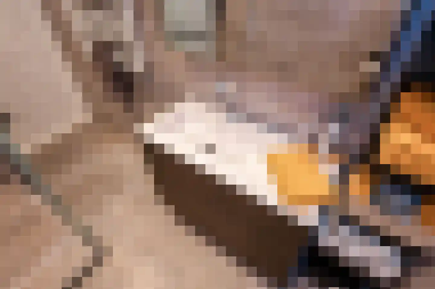 Bierkade 17 A Den Haag thumbnail 51