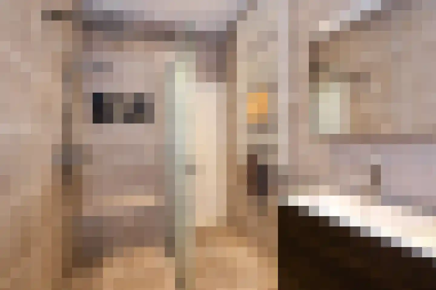 Bierkade 17 A Den Haag thumbnail 6