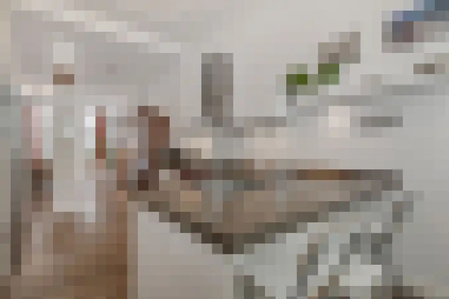 Bierkade 17 A Den Haag thumbnail 8