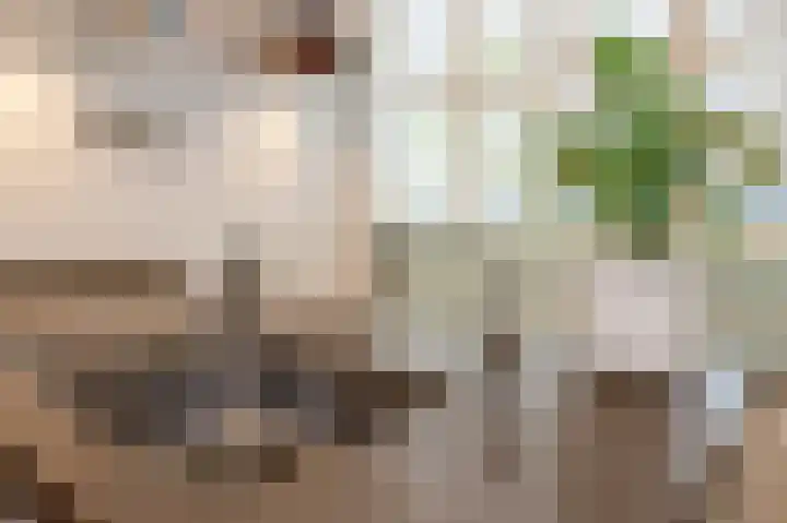 Bierkade 17 C Den Haag thumbnail 13