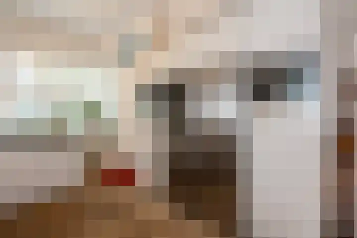 Bierkade 17 C Den Haag thumbnail 18