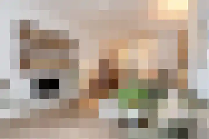 Bierkade 17 C Den Haag thumbnail 28