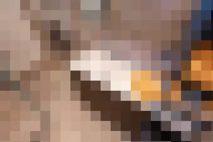 Bierkade 17 C Den Haag thumbnail 52