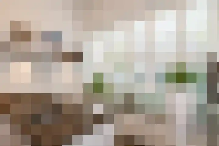 Bierkade 17 C Den Haag thumbnail 9