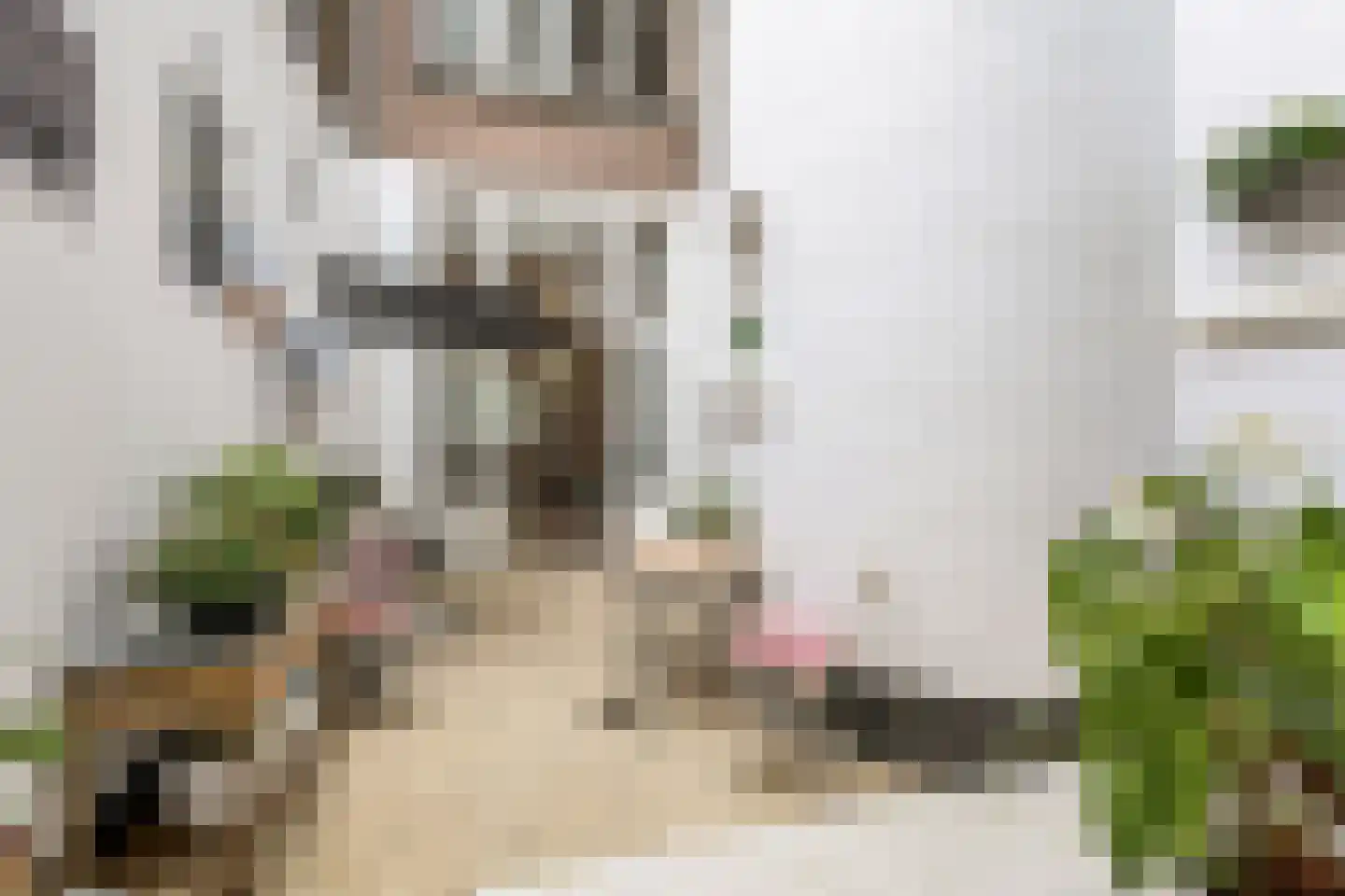 Bierkade 17 D Den Haag thumbnail 21