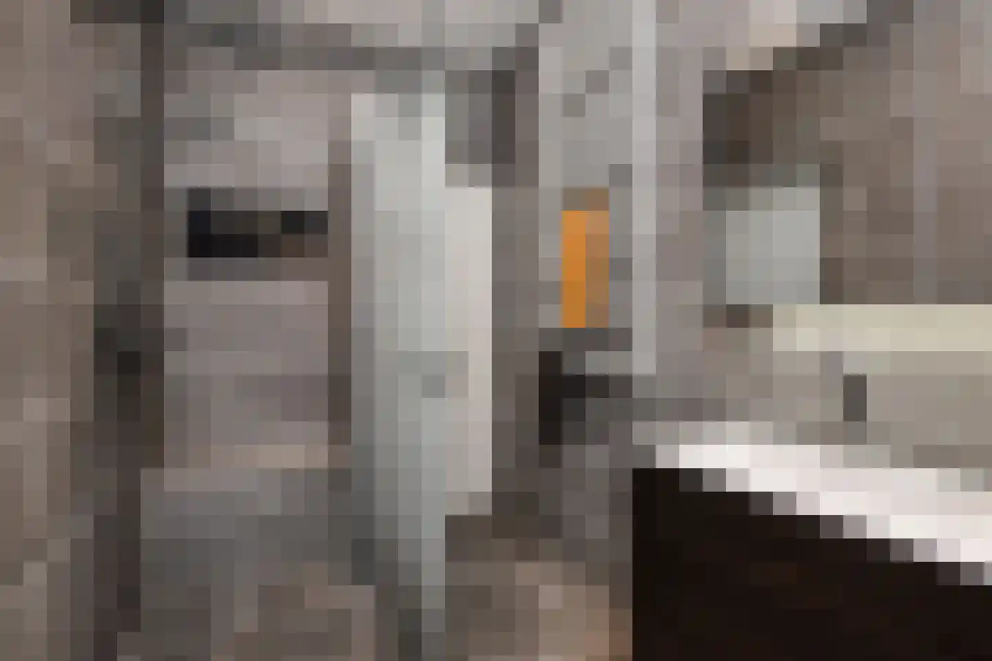 Bierkade 17 D Den Haag thumbnail 30