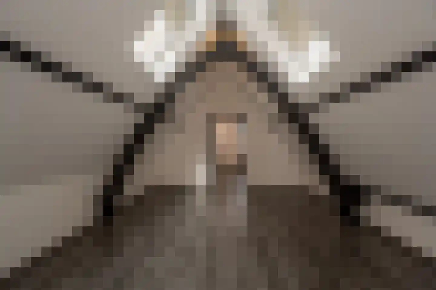 Bierkade 26 Oud-Beijerland thumbnail 21