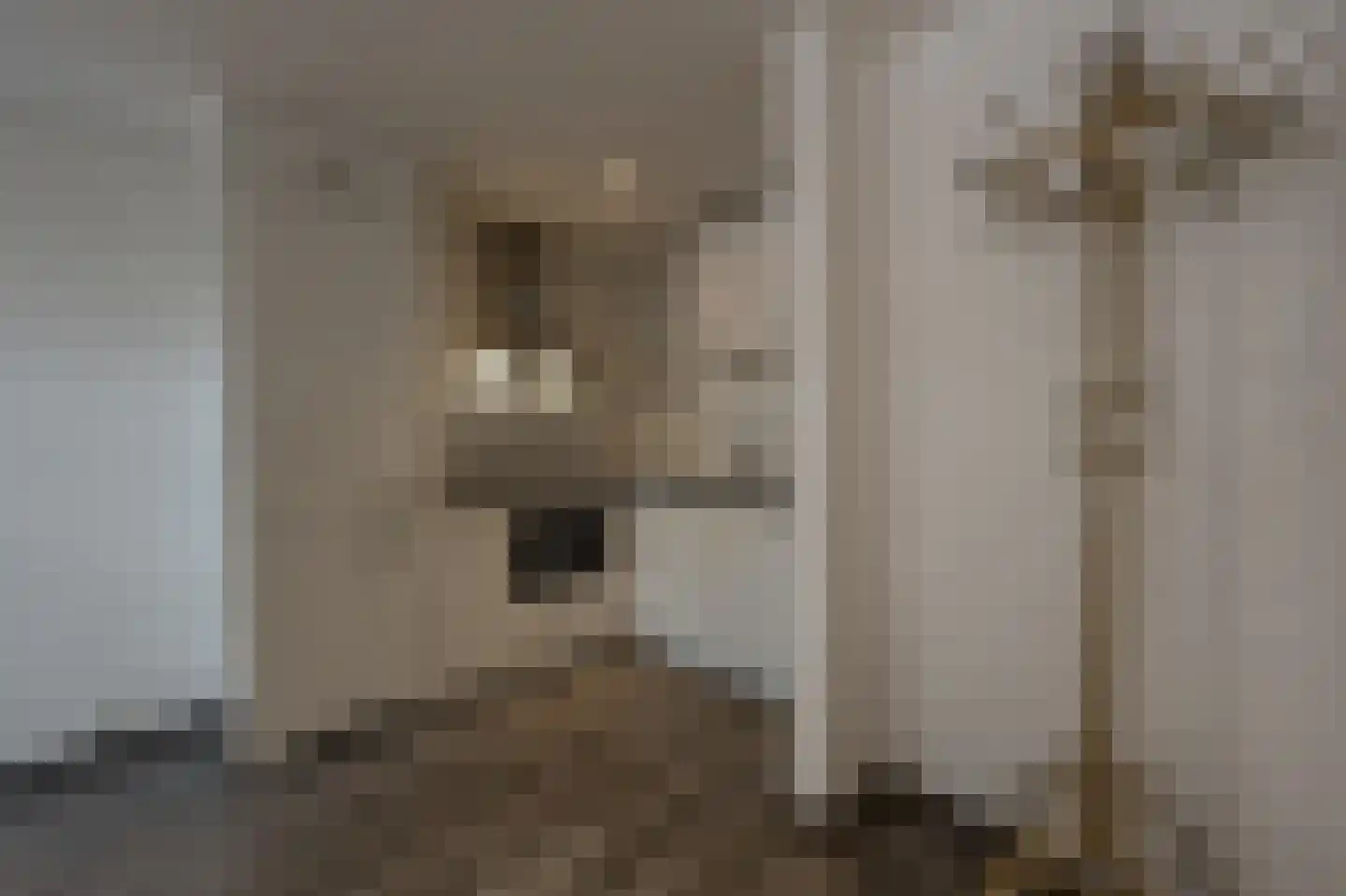 Bierkade 26 Oud-Beijerland thumbnail 5