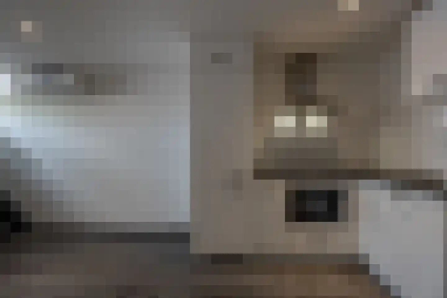 Bierkade 26 Oud-Beijerland thumbnail 8