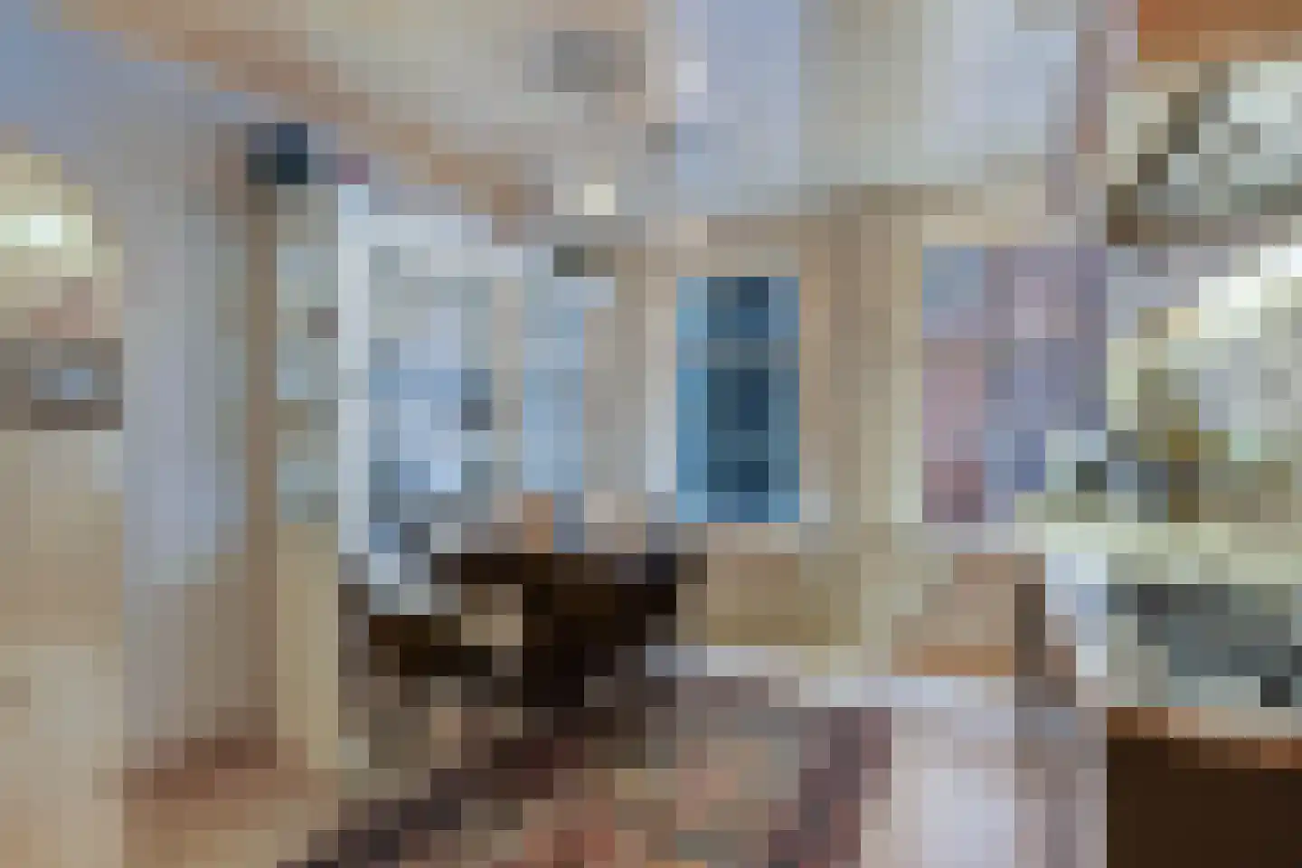 Bierkade 4 Blokzijl thumbnail 11