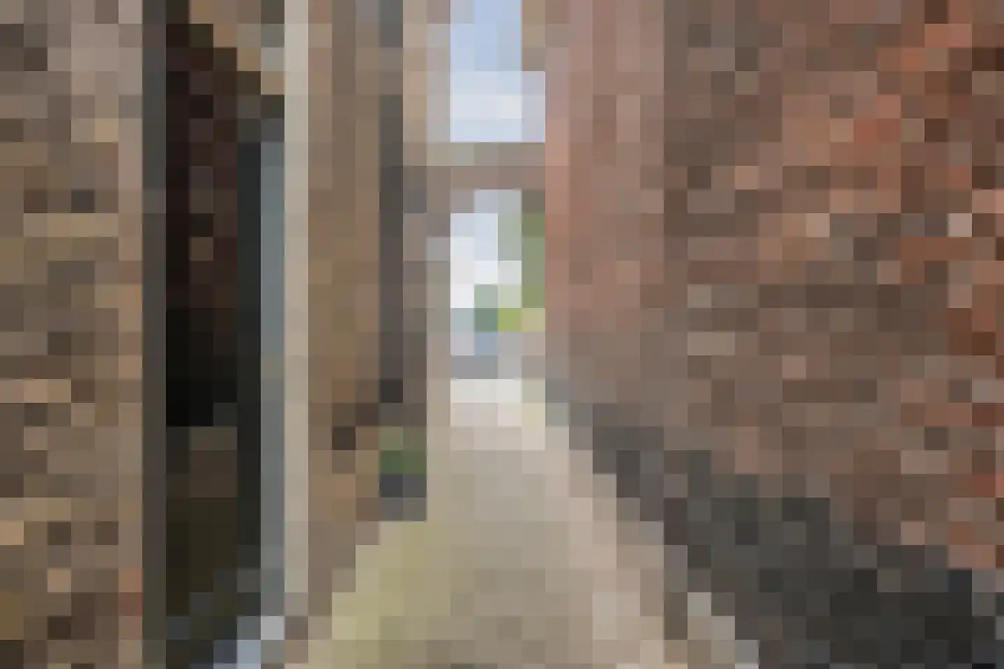 Bierkade 4 Blokzijl thumbnail 13