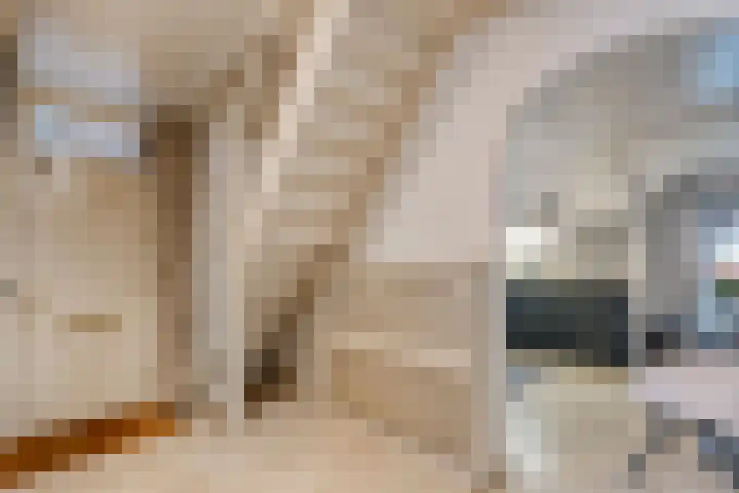 Bierkade 4 Blokzijl thumbnail 14