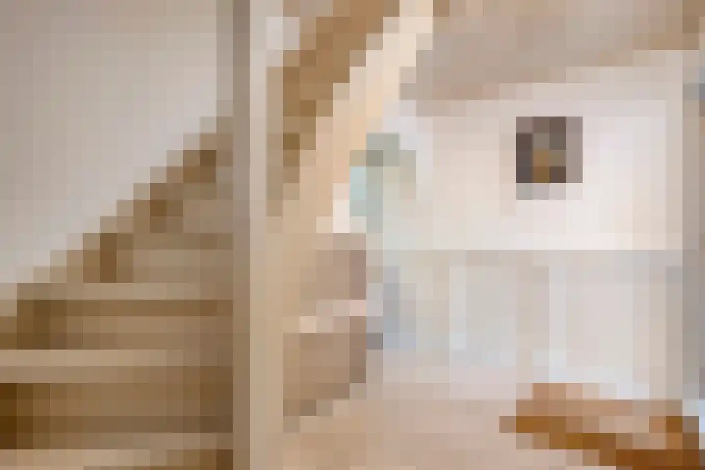 Bierkade 4 Blokzijl thumbnail 15