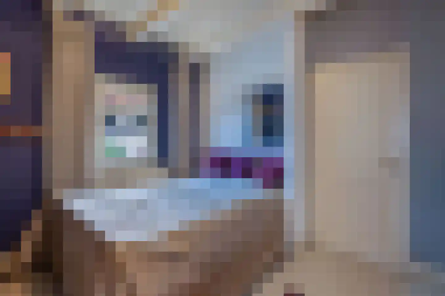 Bierkade 4 Blokzijl thumbnail 16